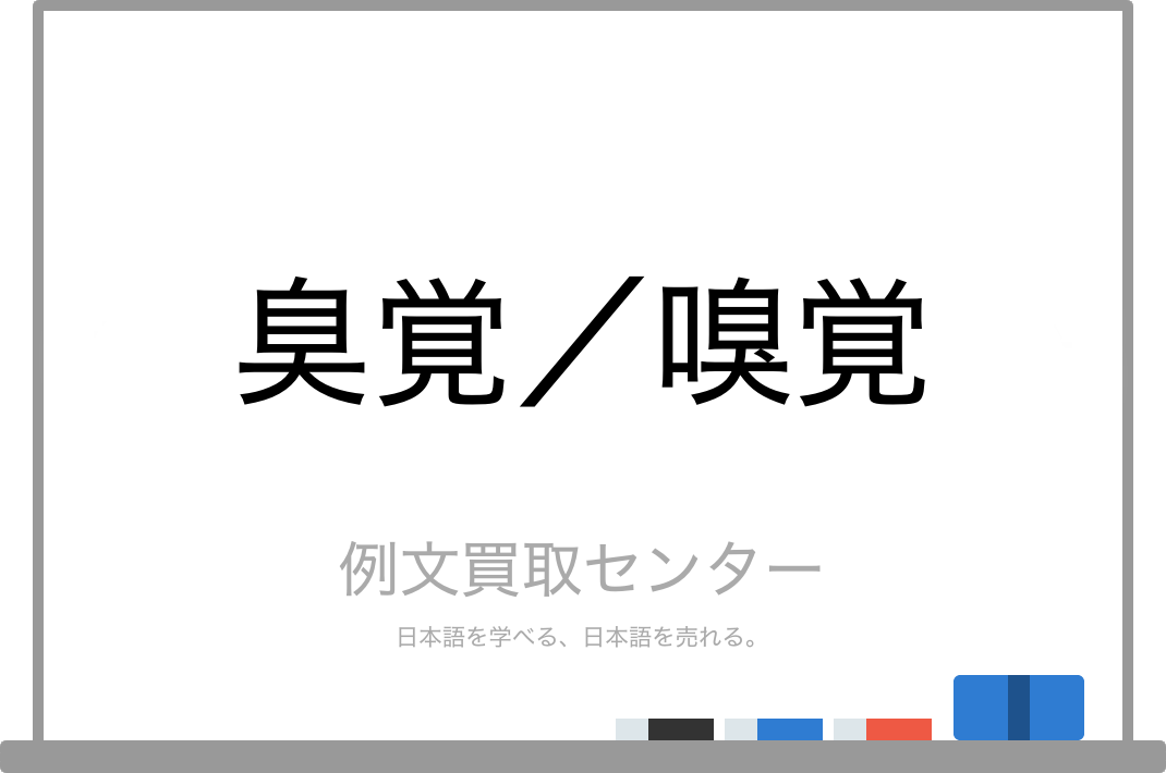 臭覚 と 嗅覚 の意味の違いと使い方の例文 例文買取センター